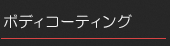 ボディコーティング